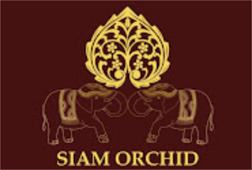 Siam Orchid